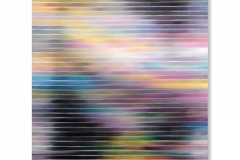 7) Scale temperate, 2008